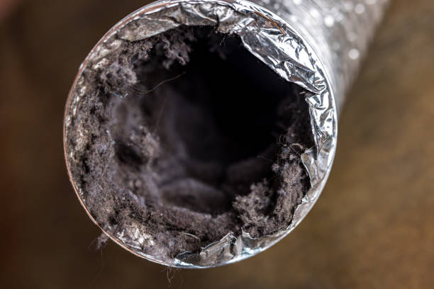 Best Air Duct Cleaning Cost  in Villas, FL