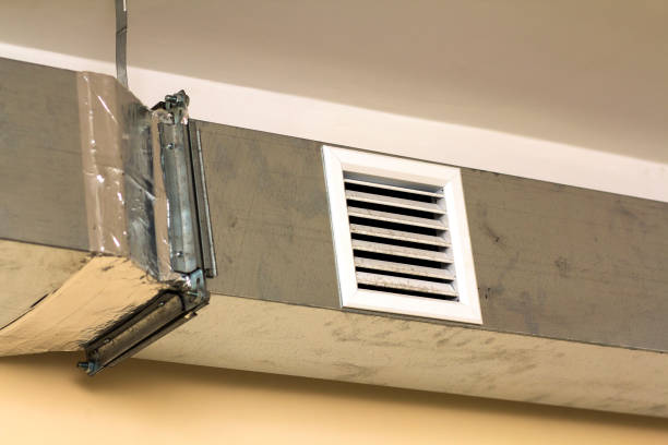 Best Affordable Air Duct Cleaning  in Villas, FL